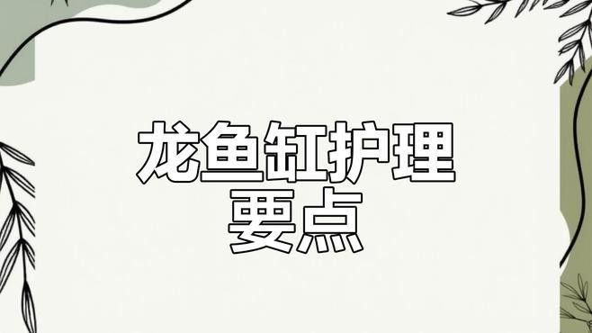 龍魚缸裝飾物的更換頻率需根據材質及使用狀況及維護情況綜合判斷：家用魚缸如何清洗這6點要記住，讓魚兒快樂成長!