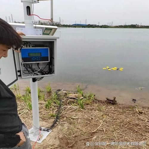 龍魚水質問題解決全攻略：紅龍魚幼魚對水質波動極為敏感 龍魚水質問題解決全攻略：紅龍魚幼魚對水質波動極為敏感 龍魚百科 第6張