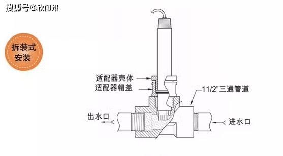 龍魚水質問題解決全攻略：紅龍魚幼魚對水質波動極為敏感 龍魚水質問題解決全攻略：紅龍魚幼魚對水質波動極為敏感 龍魚百科 第4張