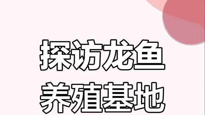 俊龍魚場是否有龍魚銷售？
