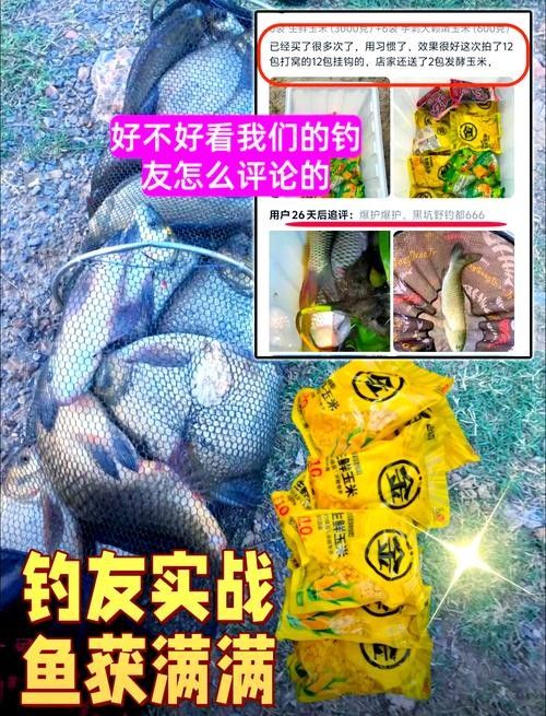 金龍魚吃哪種活餌最好：揭秘金龍魚快速成長秘訣