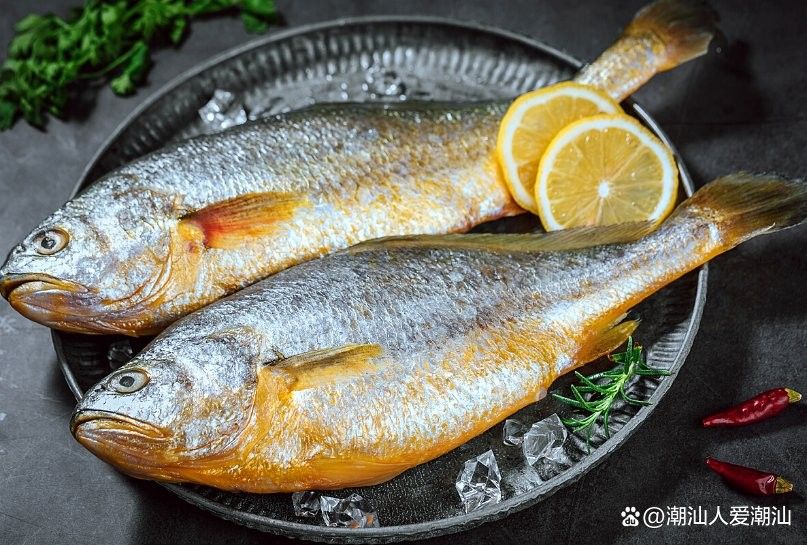 巴浪魚的最佳食用季節：巴浪魚的最佳食用季節主要集中在以下幾個時段