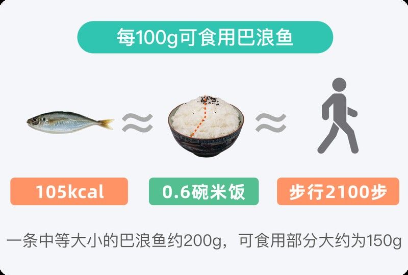 巴浪魚的最佳食用季節：巴浪魚的最佳食用季節主要集中在以下幾個時段