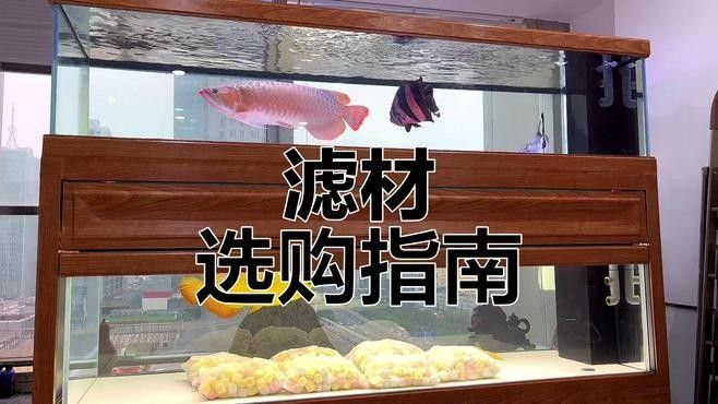 龍魚底濾中濾材的配置建議：如何選擇適合龍魚的濾材