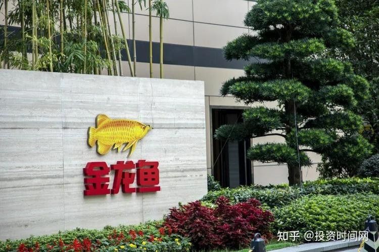金龍魚微信圖片哪里找：如何獲取金龍魚微信圖片
