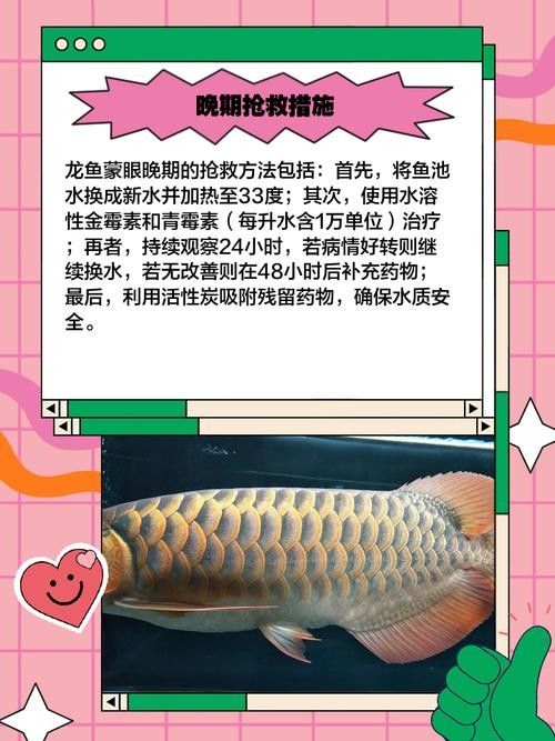 金龍魚蒙眼多久會自愈：金龍魚蒙眼的自愈時間取決于病情嚴重程度和是否采取干預措施