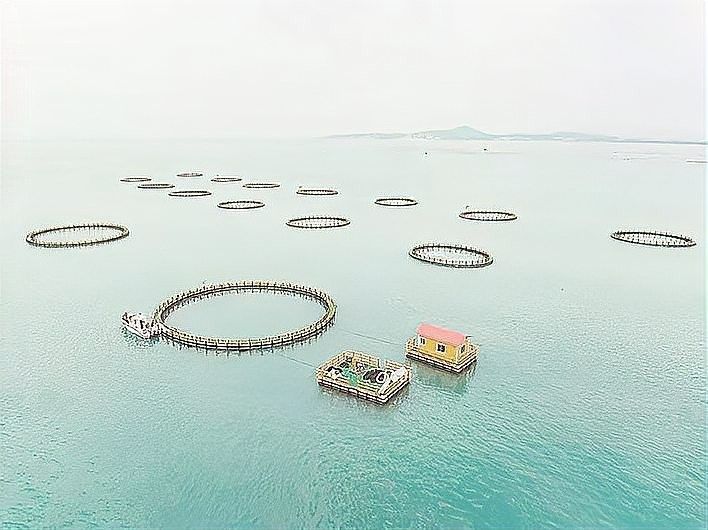 廈門龍魚養殖基地的年產量：廈門龍魚養殖基地具體年產量數據結合廈門及周邊水產產業特點