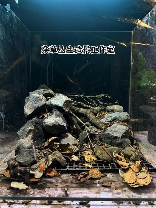 雷龍魚缸底砂清洗方法：雷龍魚缸底砂清洗技巧大揭秘,如何避免使用洗沙器