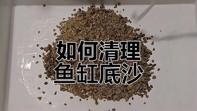 雷龍魚缸底砂清洗方法：雷龍魚缸底砂清洗技巧大揭秘,如何避免使用洗沙器