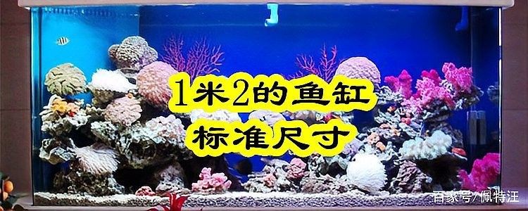 彩蝶1.2米魚缸的詳細(xì)配置：彩蝶1.2米小魚缸:優(yōu)缺點(diǎn)全解析 彩蝶1.2米魚缸的詳細(xì)配置：彩蝶1.2米小魚缸:優(yōu)缺點(diǎn)全解析 龍魚百科 第6張