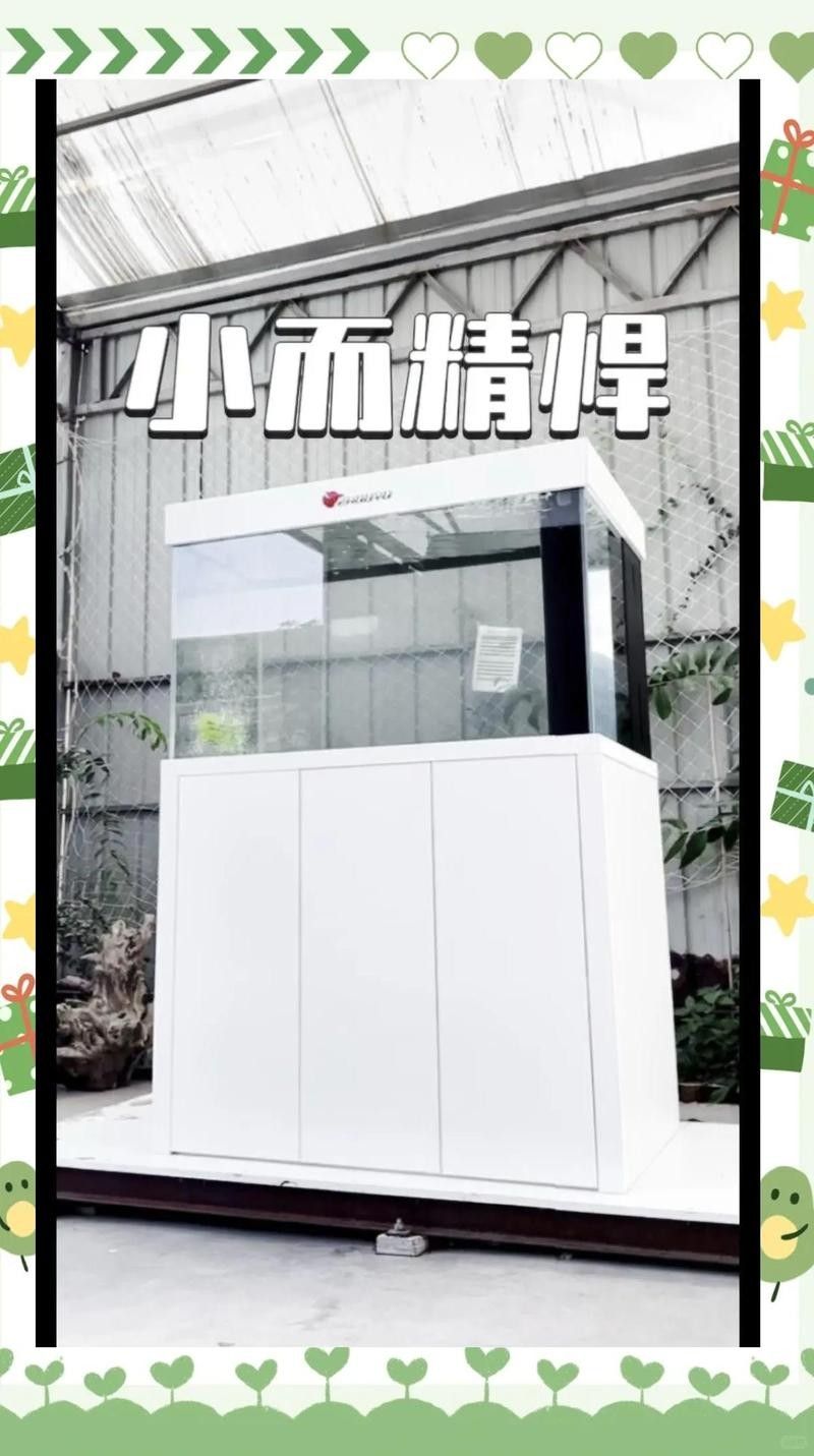 彩蝶1.2米魚缸的詳細(xì)配置：彩蝶1.2米小魚缸:優(yōu)缺點(diǎn)全解析 彩蝶1.2米魚缸的詳細(xì)配置：彩蝶1.2米小魚缸:優(yōu)缺點(diǎn)全解析 龍魚百科 第9張