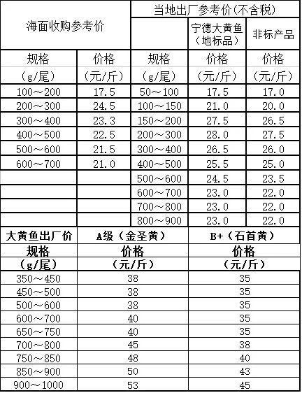 太原龍魚市場的價格波動大嗎？：20-30公分龍魚飼養技巧與注意事項