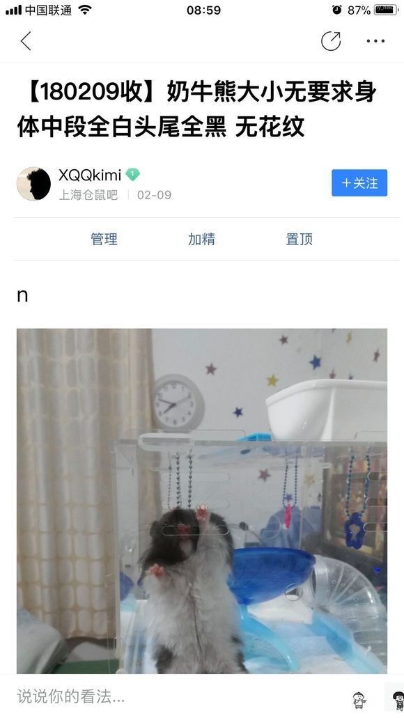 金龍魚吧有吧規嗎？：百度貼吧金龍魚吧管理規范