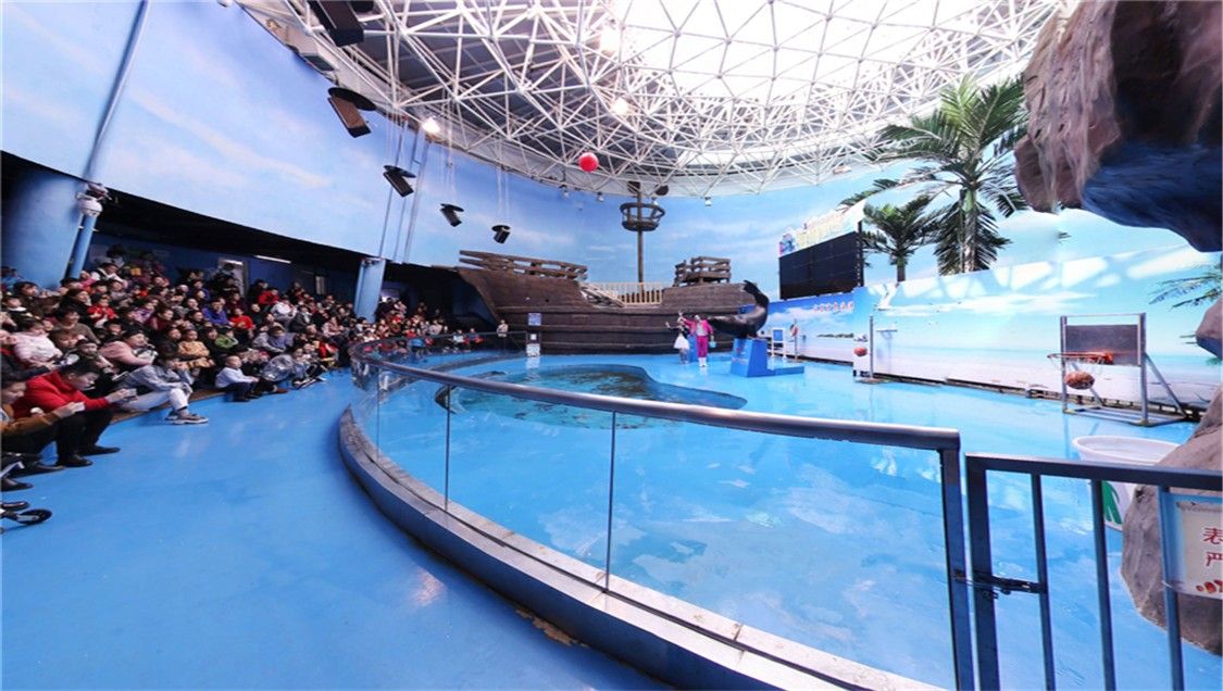 長春哪個水族館龍魚好？祥龍魚場龍魚：長春市內有多家水族館和養殖場提供龍魚相關服務
