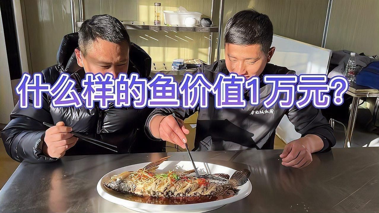 金龍魚清蒸時需要去內(nèi)臟嗎：金龍魚怎么去內(nèi)臟？