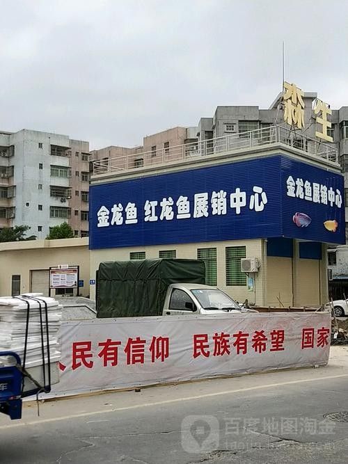 金龍魚分支機構分布圖：全面解析金龍魚的生產布局生活全知道
