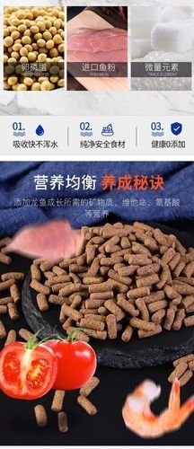 金龍魚分支機構分布圖：全面解析金龍魚的生產布局生活全知道