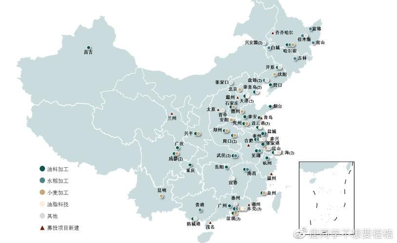金龍魚分支機構分布圖：全面解析金龍魚的生產布局生活全知道