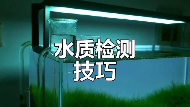 如何測試水質參數：水質參數測試方法 如何測試水質參數：水質參數測試方法 龍魚百科 第1張