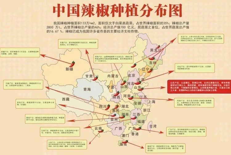 綠皮辣椒紅龍有哪些產地：綠皮辣椒紅龍的主要產地及種植特點