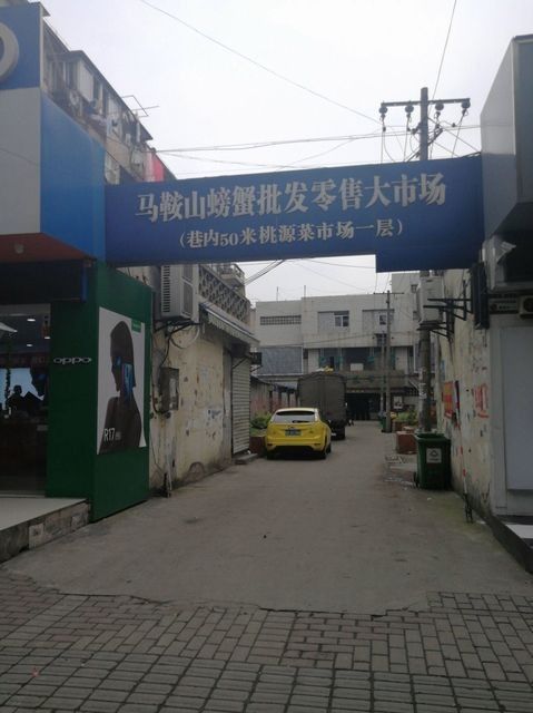 馬<strong><mark>鞍山</mark></strong>龍魚市場的地址：馬<strong><mark>鞍山</mark></strong>哪里可以買到龍魚？