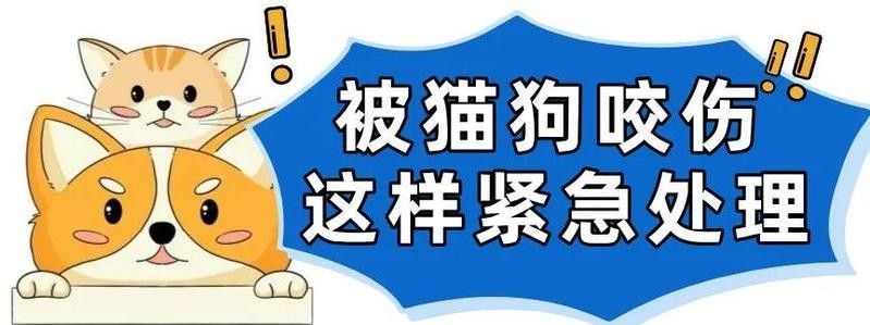 六角恐龍魚咬傷需要包扎嗎？：六角恐龍魚咬傷后需要包扎嗎
