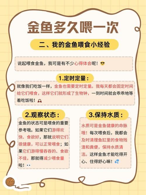 冠軍金龍魚多久喂一次合適:冠軍金龍魚的喂食頻率需根據(jù)其生長階段調(diào)整
