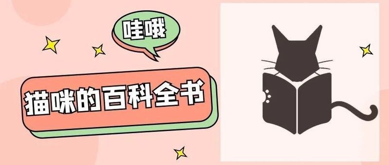 龍貓受到驚嚇會自愈嗎？：龍貓受到驚嚇后能自愈嗎