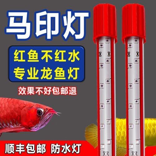 馬印神燈Pro適合多大的魚(yú)缸？：馬印神燈pro系列不同型號(hào)適配的魚(yú)缸尺寸
