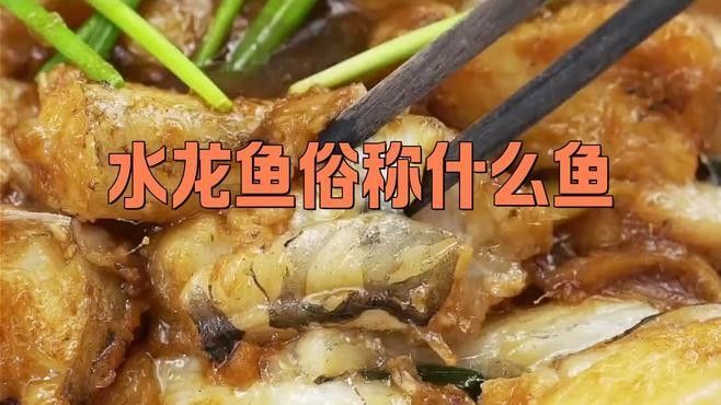 水龍魚的原產地在哪里？：如何區分水龍魚和觀賞魚？