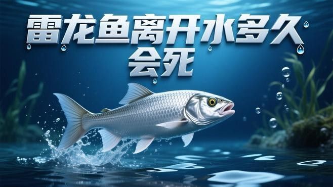 雷龍魚離開水體能存活多久：雷龍魚存活數日，專家解答生存之謎