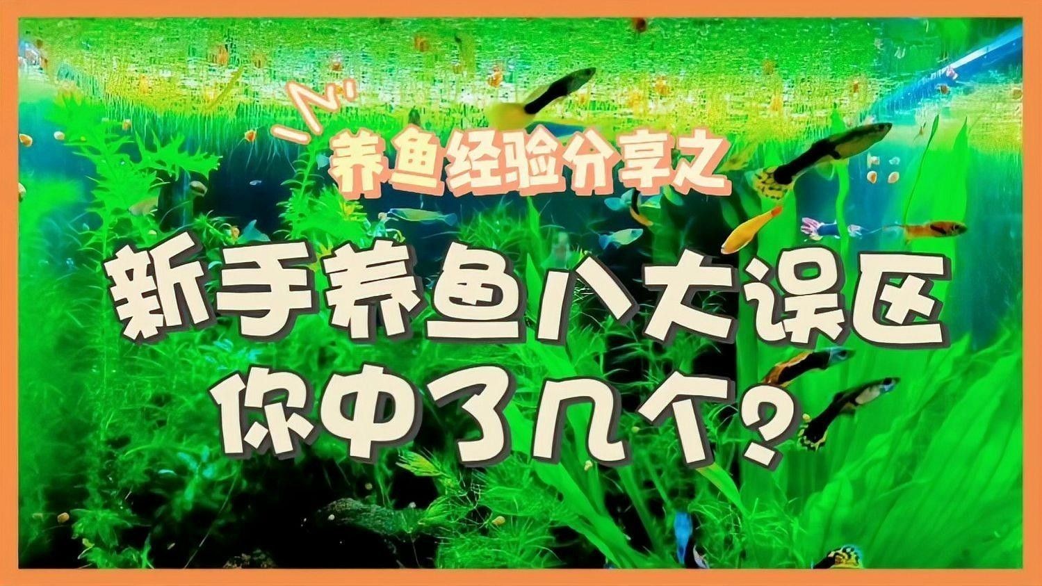 如何判斷自己適合養哪種魚：新手養魚八大誤區,你中了幾個再也不怕把魚養死 如何判斷自己適合養哪種魚：新手養魚八大誤區,你中了幾個再也不怕把魚養死 龍魚百科 第1張