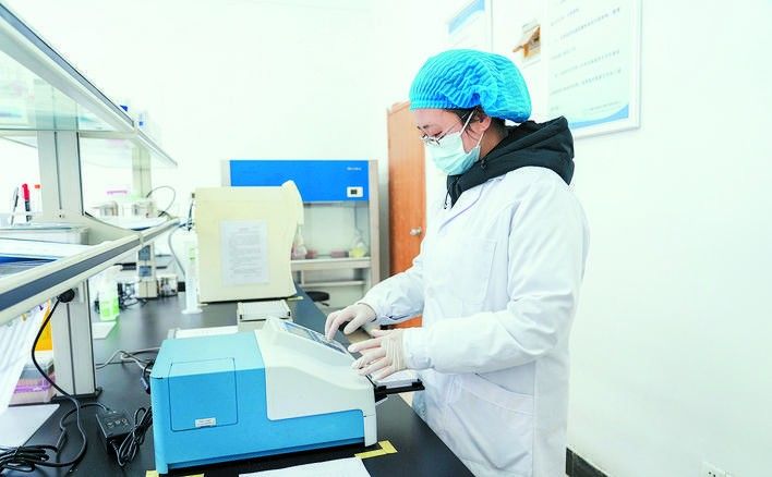 金龍苗檢疫費用大概是多少：關于金龍魚苗的檢疫費用公開信息中未明確提及具體收費標準