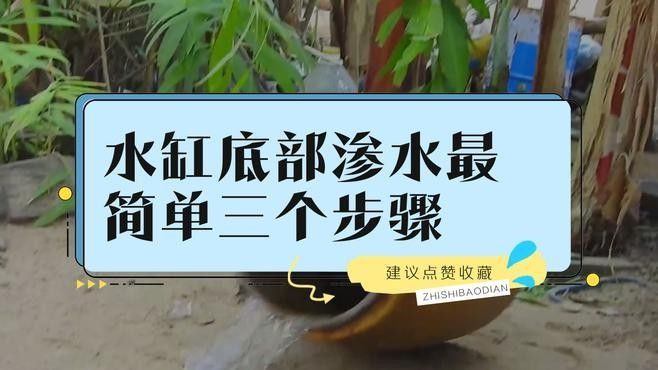 如何檢查金九龍魚缸是否漏水：檢查金九龍魚缸是否漏水需從結構、設備及日常維護多方面入手
