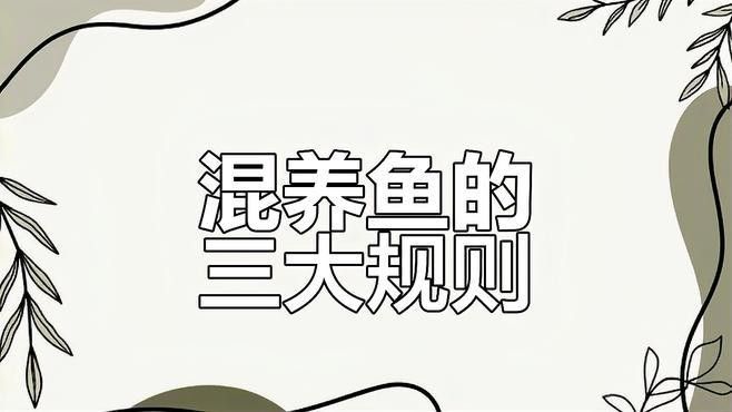 混養(yǎng)初期需要特別注意什么？