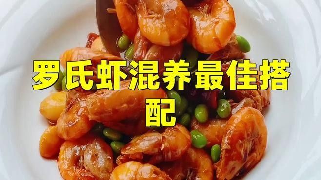 混養(yǎng)初期需要特別注意什么？