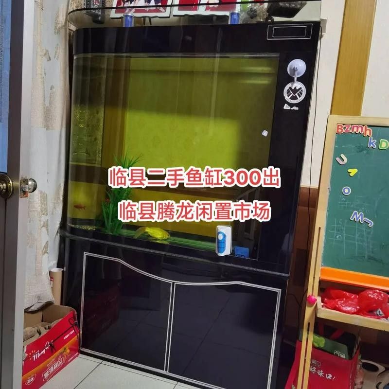 如何聯系北京騰龍魚缸公司？：北京騰龍之家水族商貿有限公司