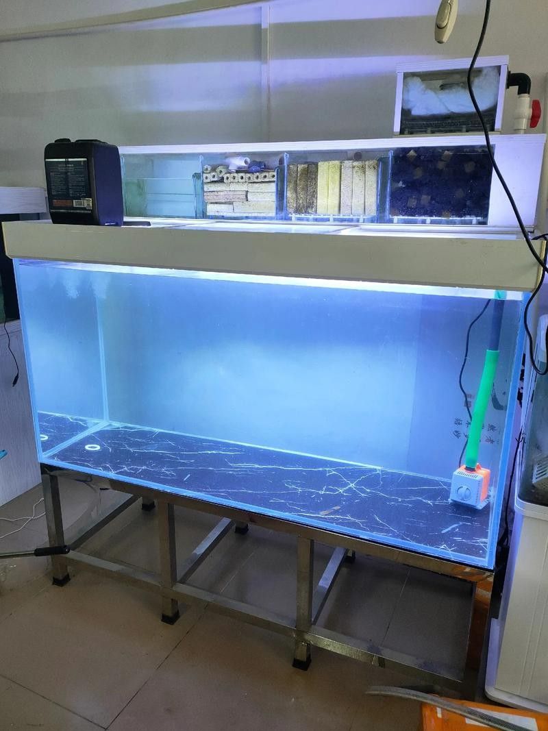 岳普湖哪個水族館龍魚好？祥龍魚場龍魚：北京地區(qū)與龍魚相關(guān)的水族館及魚場