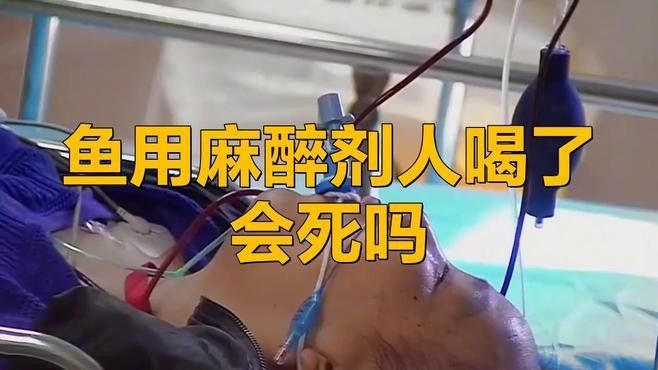龍魚麻藥中毒有哪些癥狀：龍魚麻藥中毒的臨床表現(xiàn) 龍魚麻藥中毒有哪些癥狀：龍魚麻藥中毒的臨床表現(xiàn) 龍魚百科 第1張