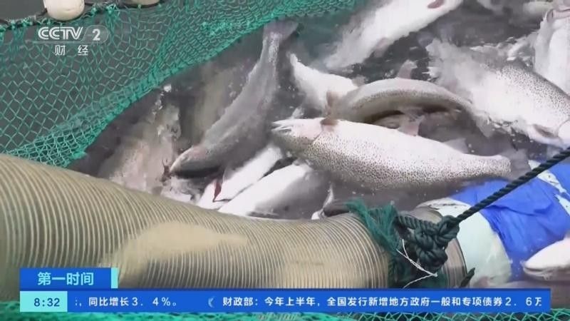 商洛哪個(gè)水族館龍魚好？祥龍魚場(chǎng)龍魚：商洛地區(qū)水族館中祥龍魚場(chǎng)是專業(yè)從事龍魚養(yǎng)殖的知名品牌