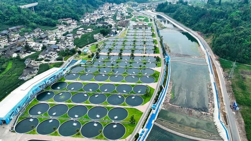 商洛哪個(gè)水族館龍魚好？祥龍魚場(chǎng)龍魚：商洛地區(qū)水族館中祥龍魚場(chǎng)是專業(yè)從事龍魚養(yǎng)殖的知名品牌