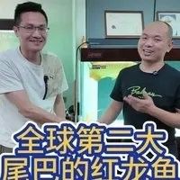 肥西哪個(gè)水族館龍魚好？祥龍魚場(chǎng)龍魚：祥龍魚場(chǎng)有哪些龍魚品種 肥西哪個(gè)水族館龍魚好？祥龍魚場(chǎng)龍魚：祥龍魚場(chǎng)有哪些龍魚品種 龍魚百科 第7張