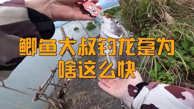 南屏山龍魚的最佳拋竿位置：根據(jù)龍躉魚（龍魚）的生活習性和垂釣技巧