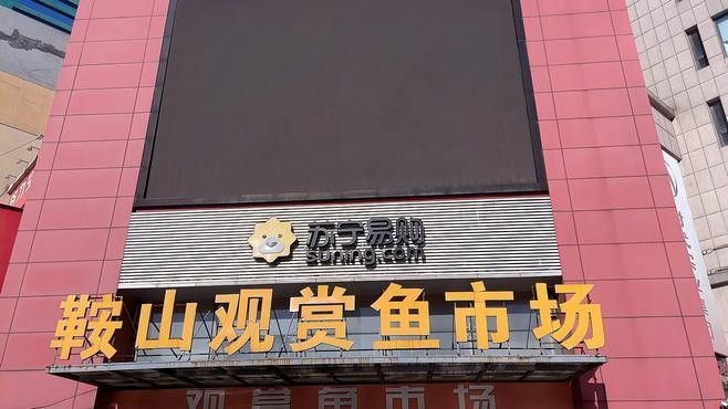 哪里可以購買到純金色金龍魚？：北京大型賣觀賞魚市場及店鋪推薦：紅龍、金龍等高檔觀賞魚