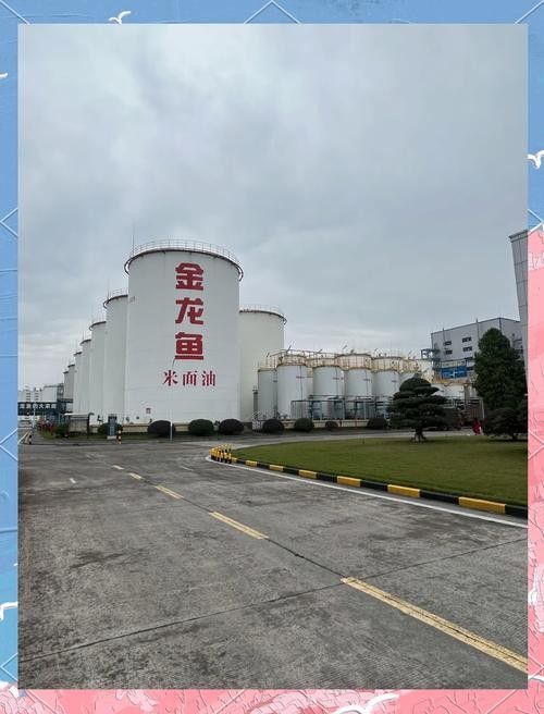 金龍魚品牌有哪些核心價值觀:金龍魚品牌是如何踐行這些價值觀的? 龍魚百科 第5張 金龍魚品牌有哪些核心價值觀:金龍魚品牌是如何踐行這些價值觀的? 金龍魚品牌有哪些核心價值觀:金龍魚品牌是如何踐行這些價值觀的? 龍魚百科 第5張