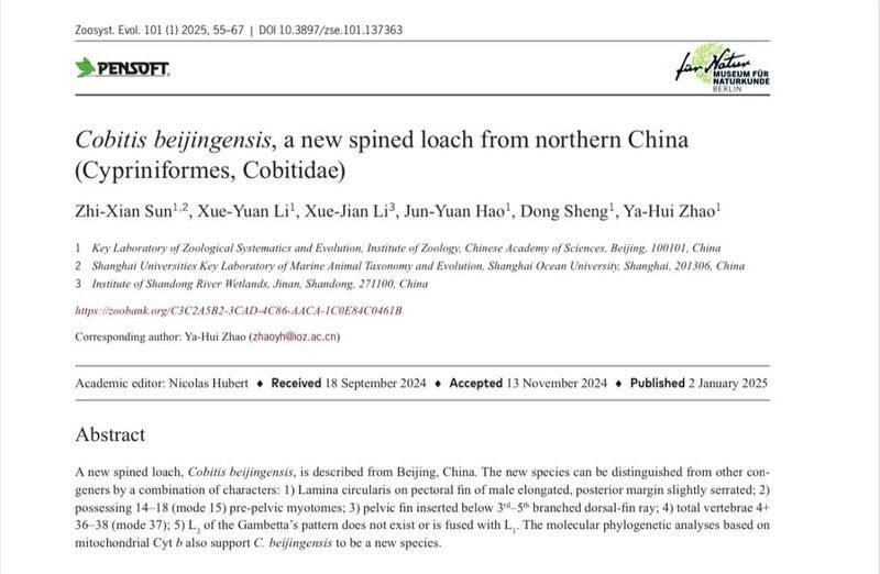 雷龍魚在本地自然水域有分布嗎？：雷龍魚在北京的自然種群數(shù)量如何？