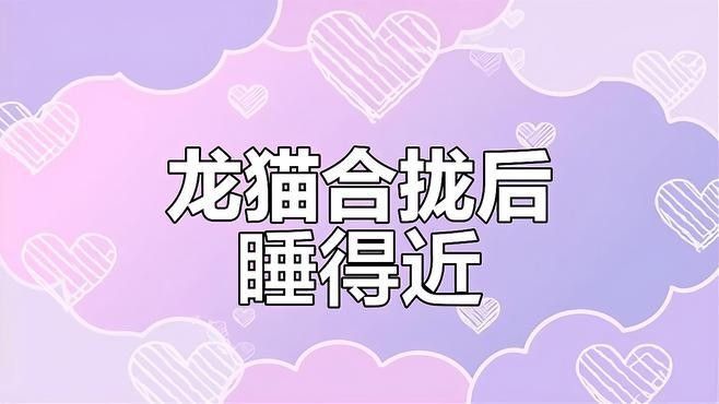龍貓合籠需要多長時間觀察？：龍貓合籠攻略 龍貓合籠需要多長時間觀察？：龍貓合籠攻略 龍魚百科 第1張