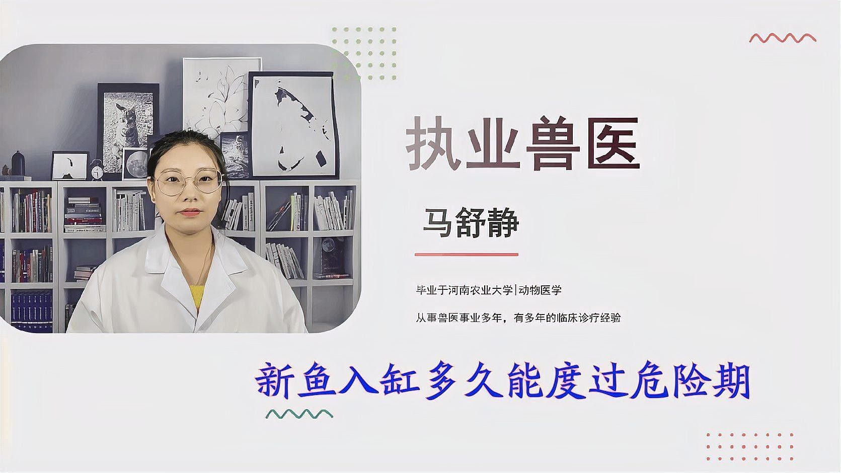 新魚入缸后多久會適應？：新魚入缸后多久能度過危險期寵物小哈哈