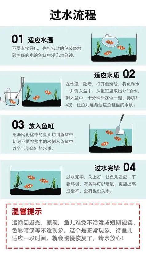 新魚入缸后多久會適應？：新魚入缸后多久能度過危險期寵物小哈哈