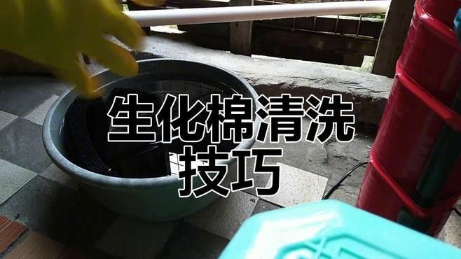 龍魚底濾生化棉多久清洗一次：龍魚底濾生化棉多長時間清洗一次